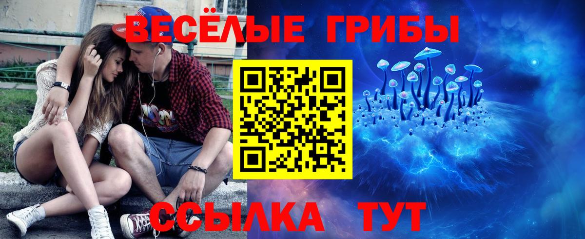 Новосибирск  Галлюциногенные грибы GOLDEN TEACHER  Вход с VPN 