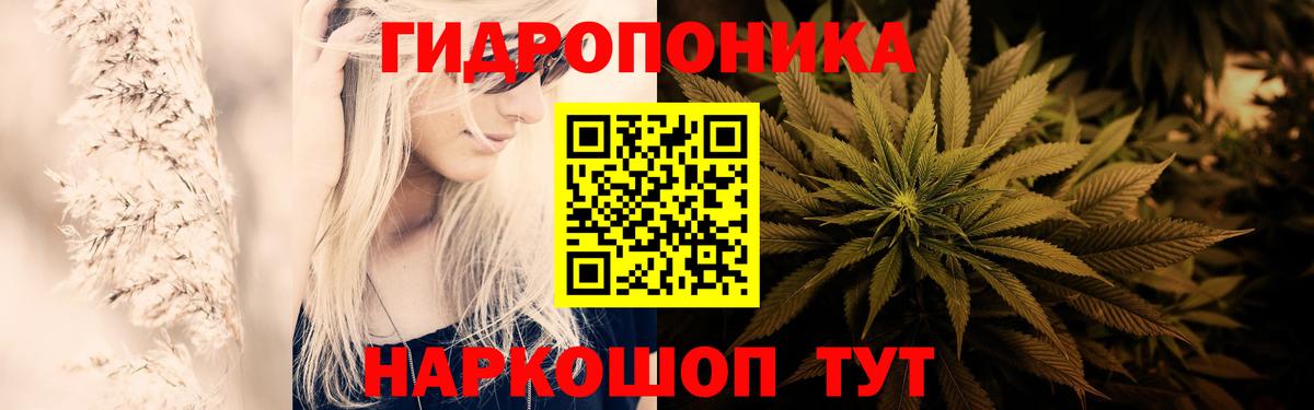 Конопля White Widow  Вход с VPN  МАРИХУАНА LSD WEED  Канабис VHQ  Новосибирск 